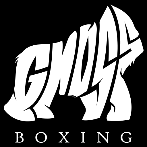 cropped-GrossBoxing_logo-completo.png